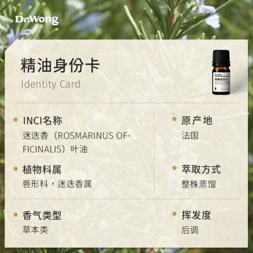樟脑迷迭香 单方精油 商品图2