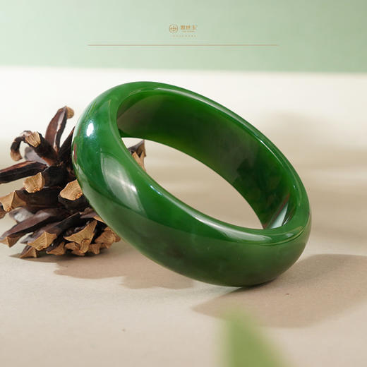 新疆国玉盟世玉和田玉碧玉手镯 圈口53.5【带证书·顺丰物流】 商品图2