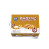 【整提】银桥核桃花生牛奶220g*16 商品缩略图1