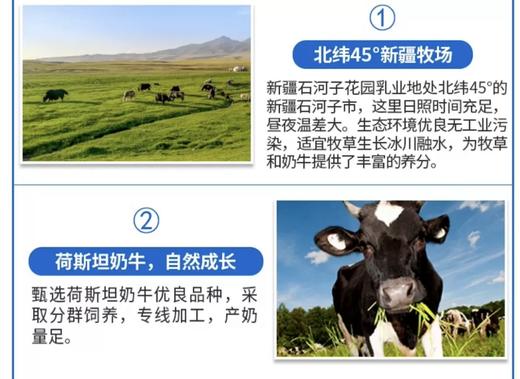 花园牌新疆老奶粉400克 商品图7