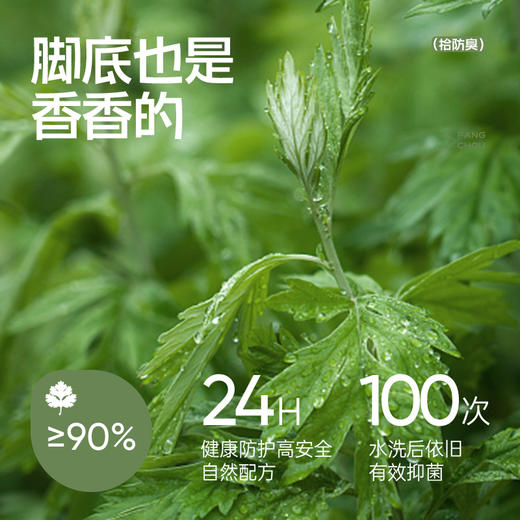 热卖！臭脚克星！【超值6双装】拾袜记 防臭精油袜/中筒袜礼盒 男款/女款 棉袜吸汗透气 耐磨舒适 多色可选 商品图5