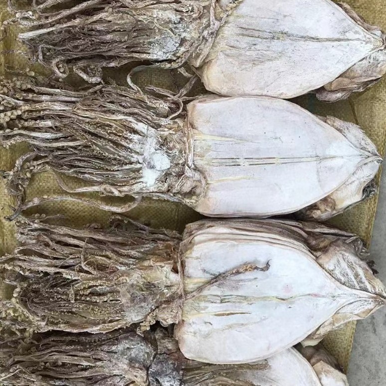 玲儿小菜 朝鲜干鱿鱼1pcs 령이네반찬 북조선특급오징어1pcs