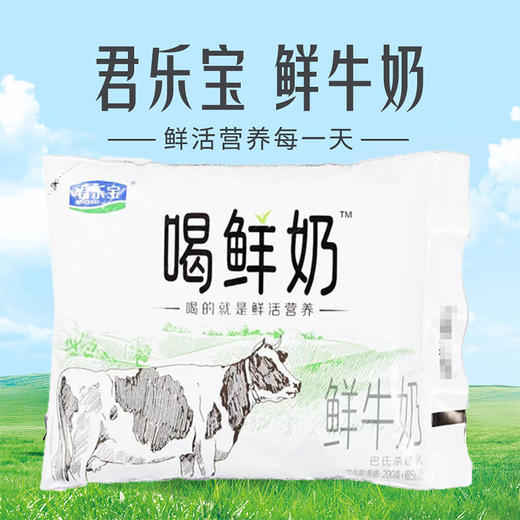 君乐宝 低温 鲜牛奶 喝鲜奶250ml/袋 生牛乳 甑选奶源 奶香浓郁 商品图0