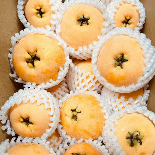 枇杷  500g/份（清甜爽滑、口口爆汁） 商品图4