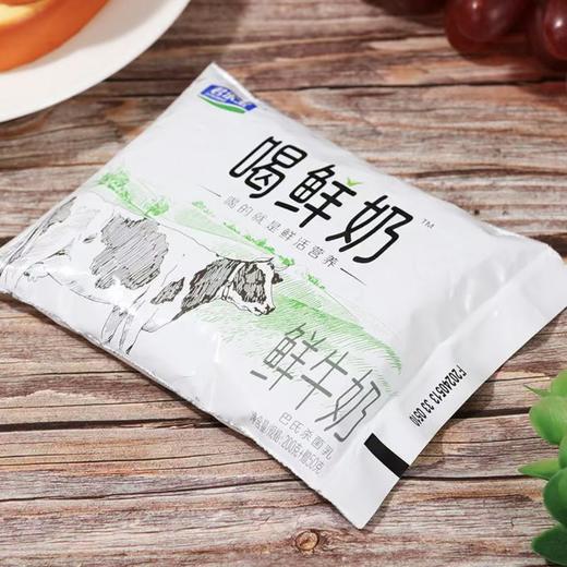 君乐宝 低温 鲜牛奶 喝鲜奶250ml/袋 生牛乳 甑选奶源 奶香浓郁 商品图1