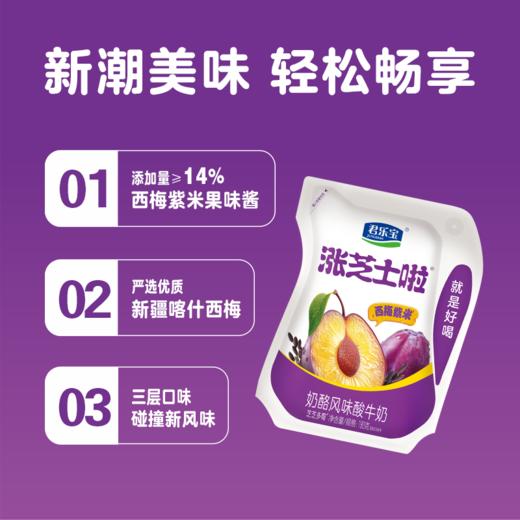 君乐宝涨芝士啦西梅紫米180g低温生鲜酸奶奶酪风味酸牛奶 商品图1