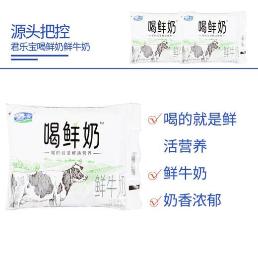 君乐宝 低温 鲜牛奶 喝鲜奶250ml/袋 生牛乳 甑选奶源 奶香浓郁 商品图4