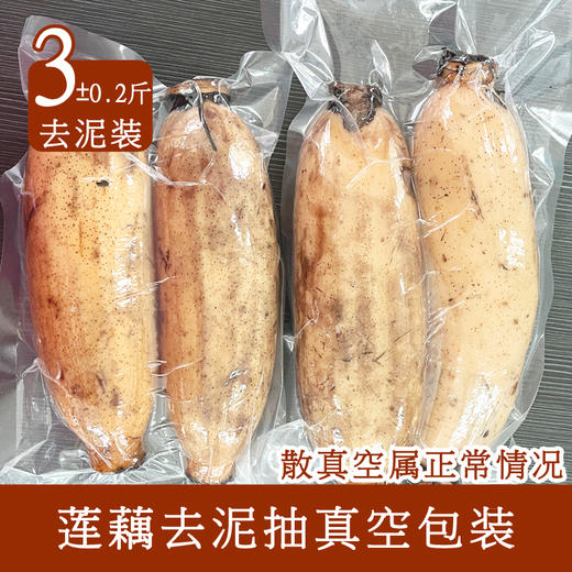 【48小时发货】洪湖有机煲汤粉藕，刚刚上市，偶尔有不粉的状况，介意者慎拍 商品图2