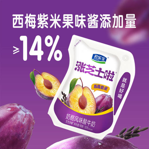 君乐宝涨芝士啦西梅紫米180g低温生鲜酸奶奶酪风味酸牛奶 商品图0