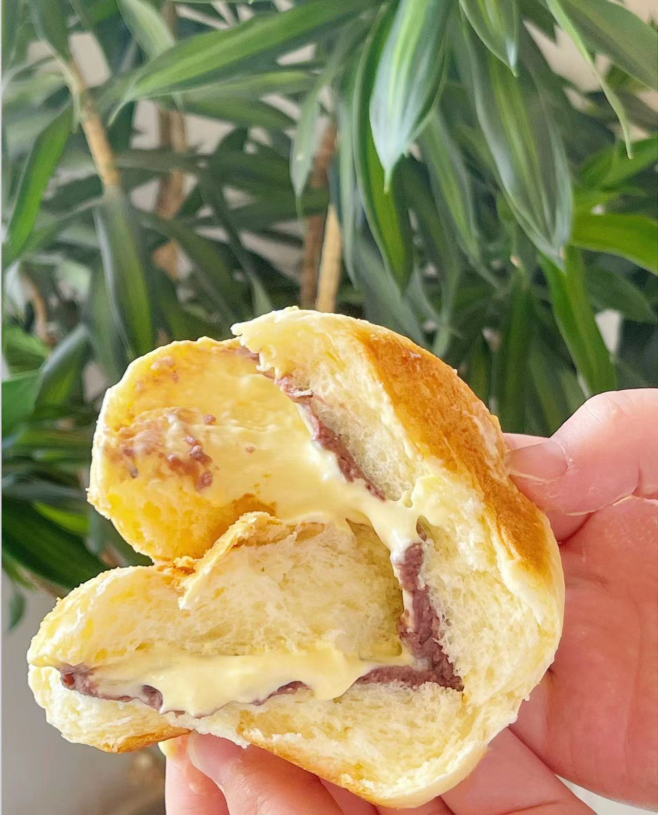 黄豆包（下午4点出货）