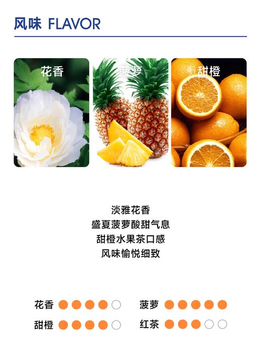 丛林之境｜甜橙果茶 香气饱满 商品图2