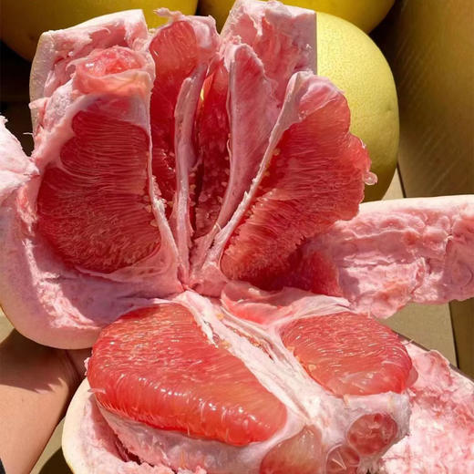 红心柚（礼盒）4枚装（肉质细腻，解油腻清火） 商品图1