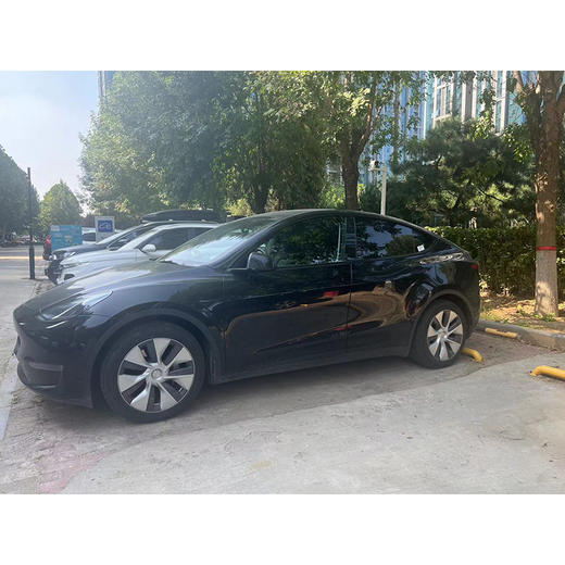 特斯拉 Model Y 长续航全轮驱动版【长租-北京】 商品图2