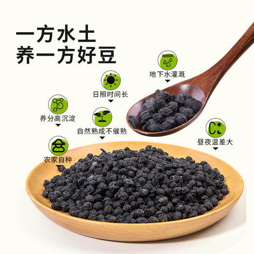 【掌柜好物】当归黑豆即食零食手工农家炒熟黑豆肾形黄芯杂粮健康营养小吃 商品图1