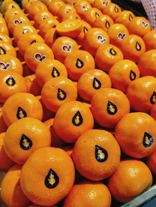 冰淇淋蜜桔2斤 商品图1