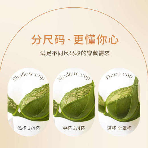【买三免一】奶糖派大杯文胸幽梦丝绒3/4杯复古承托大胸内衣秋冬 商品图5