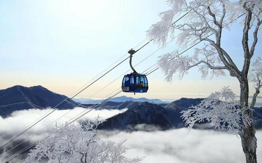 【春节出发】日本新泻苗场 6日5晚 | 品牌酒店，滑进滑出 商品图2