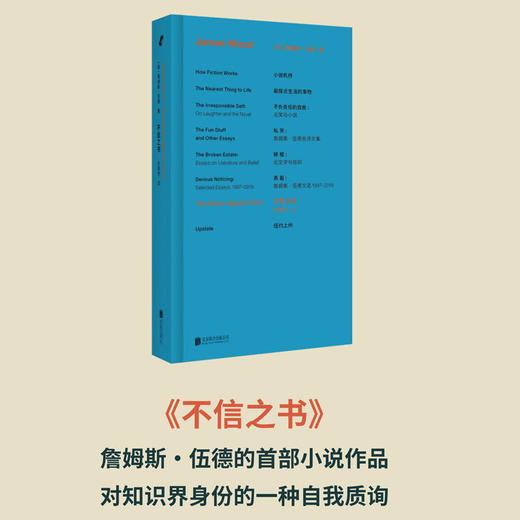 詹姆斯·伍德系列 新行思版布面精装 全8册 小说机杼 不信之书 破格 纽约上州 不负责任的自我 最接近生活的事物 私货 真看 商品图2