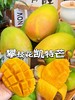【9.9元2斤】凯特芒果大果 商品缩略图5