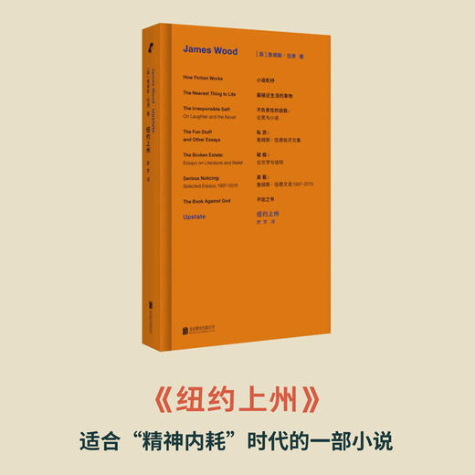 詹姆斯·伍德系列 新行思版布面精装 全8册 小说机杼 不信之书 破格 纽约上州 不负责任的自我 最接近生活的事物 私货 真看 商品图4