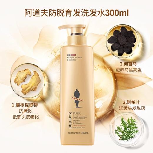 阿道夫 防脱固发 生姜洗发水 300ml/500ml 2瓶装 解锁蓬松发量 48小时发货 商品图2