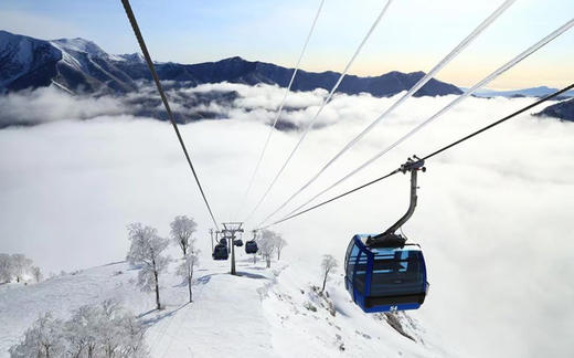 【春节出发】日本新泻苗场 6日5晚 | 品牌酒店，滑进滑出 商品图1