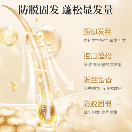 阿道夫 防脱固发 生姜洗发水 300ml/500ml 2瓶装 解锁蓬松发量 48小时发货 商品图3