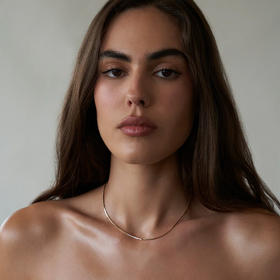 北京仓｜Lili Claspe-Lucy-纤细 金色 蛇骨链 项链［美国设计师］