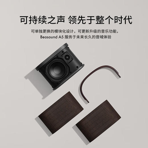 B&O A5 无线蓝牙音箱 丹麦蓝牙音箱家庭户外低音炮音响 商品图3