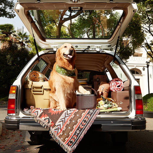 B&O A5 无线蓝牙音箱 丹麦蓝牙音箱家庭户外低音炮音响 商品图6