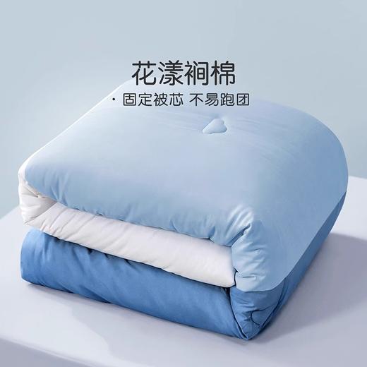 【限时秒杀】自然醒彩虹被四季被子秋冬被宿舍单人学生加厚保暖被FM（不参与优惠券） 商品图2