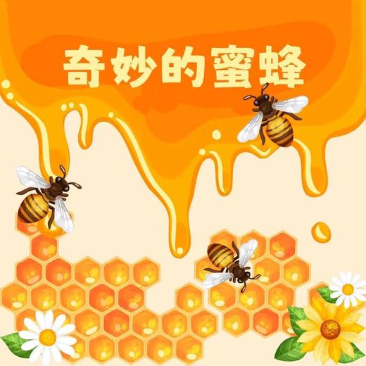 【南京】奇妙的蜜蜂 商品图0