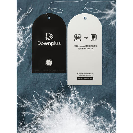 COCOBELLA[可溯源安心90绒]高支棉刺绣立领短款羽绒服DC3030 商品图3