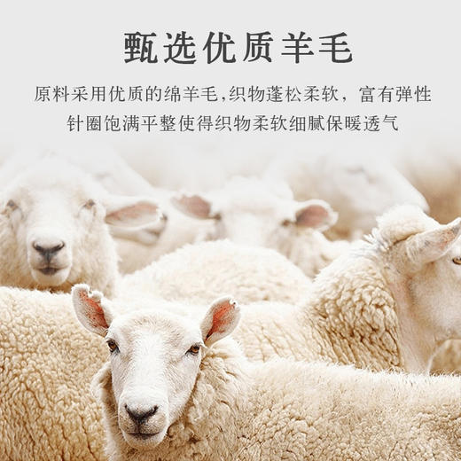 绵羊毛蕾丝大V领美体套装女士腈纶保暖套装（4-919） 商品图9