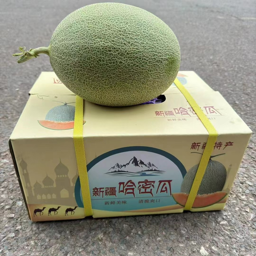 新疆晓蜜哈密瓜