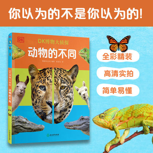 DK博物大侦探全3册 商品图4