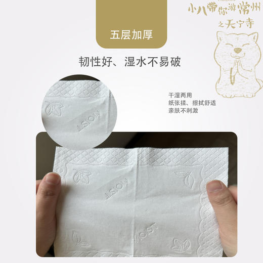 400张8+2包麦尔德天宁寺系列抽纸 商品图2
