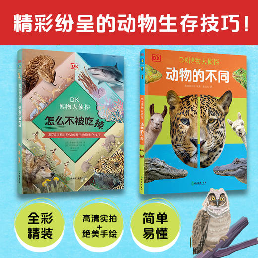 DK博物大侦探全3册 商品图1
