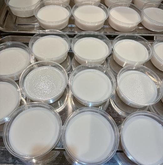 老字号双层椰子冻（配椰子脆）250g 商品图2