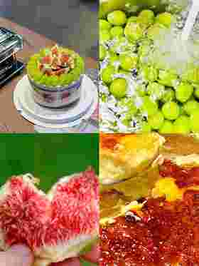 【老板娘果园自采无花果】无花果青提伯爵红茶烤布蕾·奶油蛋糕