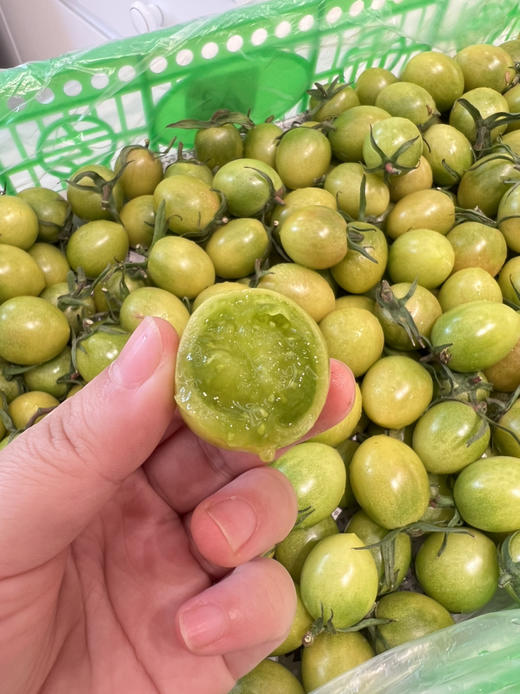 青番茄🍅圆润饱满，不酸不甜腻，热量低水份足💦，减脂也能吃到爽 商品图3