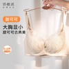 【特惠】（甜可可文胸）奶糖派甜可可全罩杯文胸大包裹古典蕾丝大胸显小亲肤承托舒适内衣 商品缩略图1