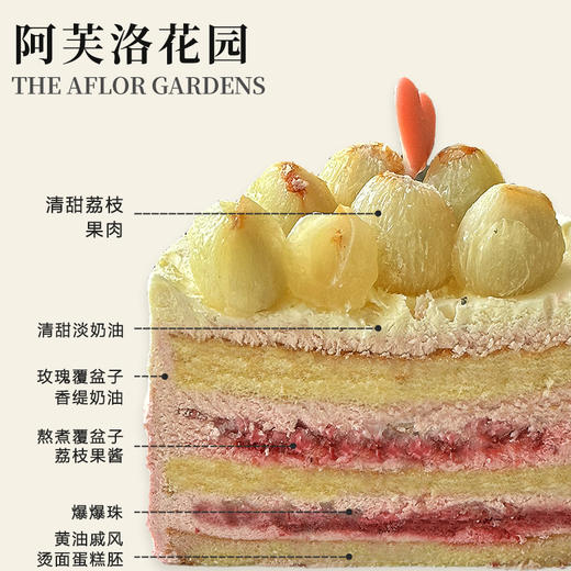 阿芙洛花园（所有绿植均不可食用！） 商品图1