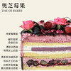 奥芝莓果【无LOVE YOU 插排  介意勿拍】（所有绿植均不可食用！） 商品缩略图2