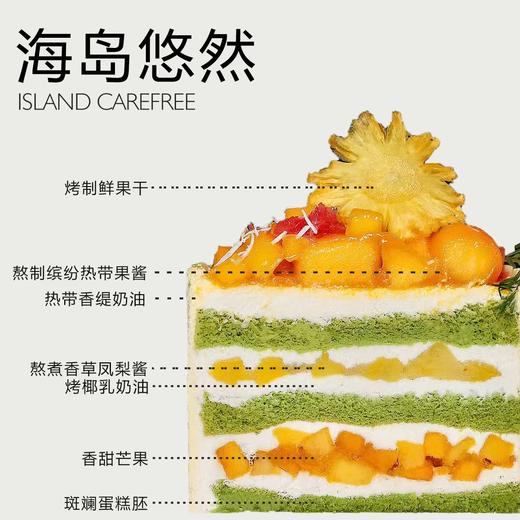 海岛悠然（所有绿植均不可食用！） 商品图2