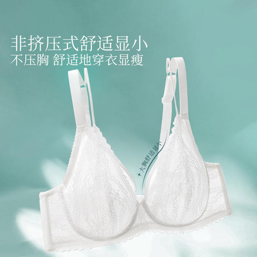 【积分兑换】[林荫]大胸显小文胸超薄全罩杯性感蕾丝透气夏季双肩带内衣女 商品图1