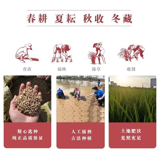 【米中茅台、产地直发】扬德五常稻花香大米（2500g/袋*2袋/箱） 商品图3