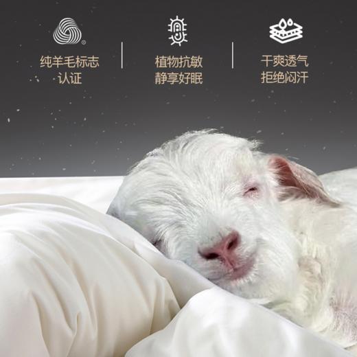 【澳洲美利奴羊毛被】亲肤触感，恒温锁热，贴身御寒，享受五星云端睡眠体验。（1月1-4日停发，5日陆续发货）（2.10-2.25停发） 商品图2