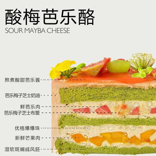 酸梅芭乐酪（所有绿植均不可食用！） 商品图2