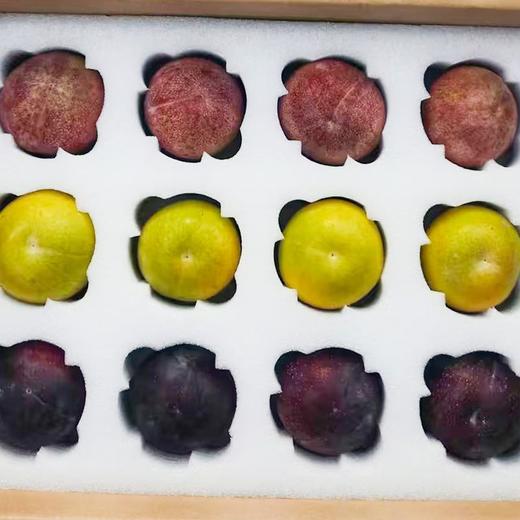 新疆恐龙蛋 三色拼装 新疆发货 商品图2